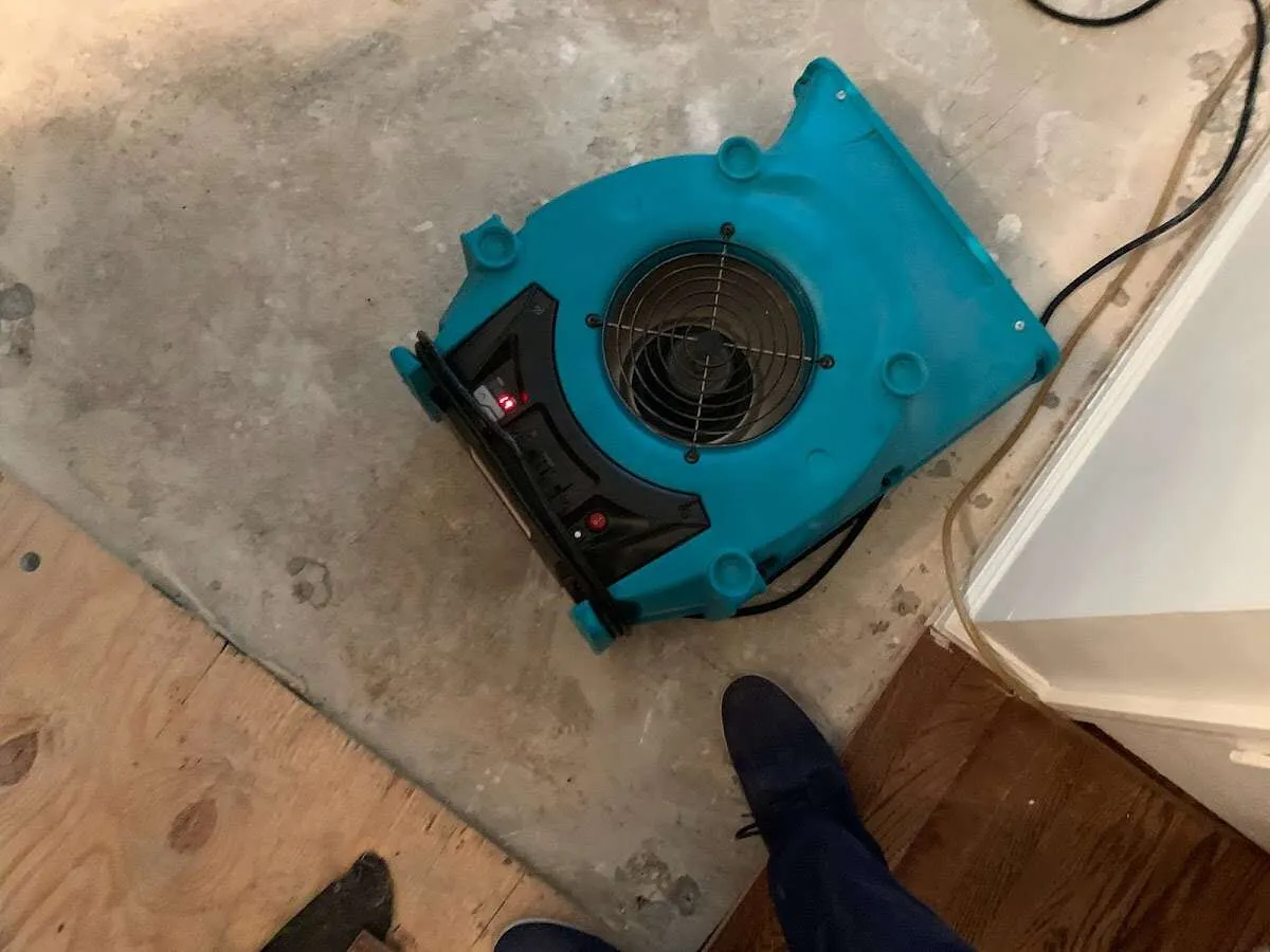 Air mover drying subfloor during Commercial Water Damage Restoration in Cortez
